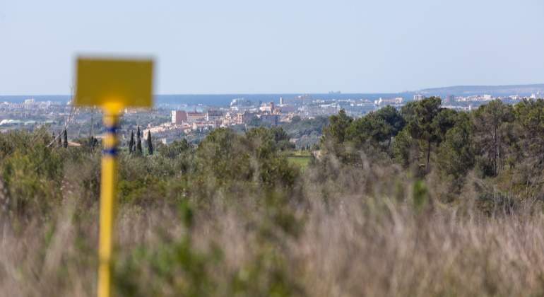Proyecto Power to Green Hydrogen Mallorca, de Redexis