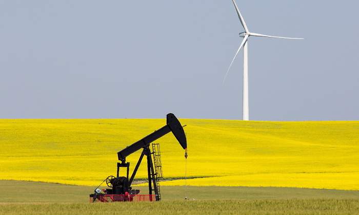 petroleo-mostaza-aerogeneador.jpg