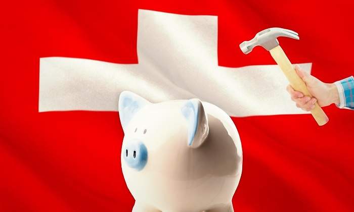 cerdito-suiza-bandera.jpg