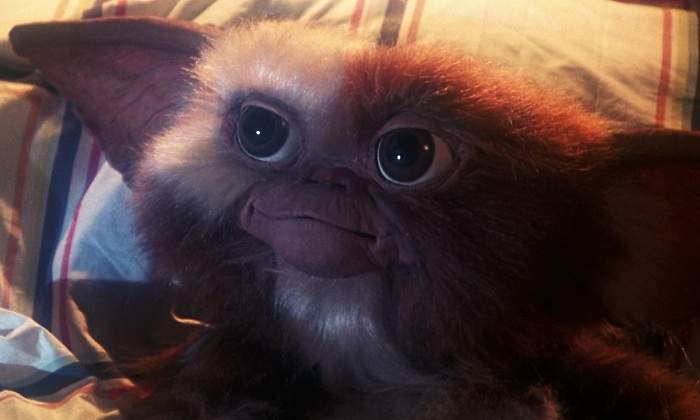 Gizmo-de-Los-Gremlins.jpg