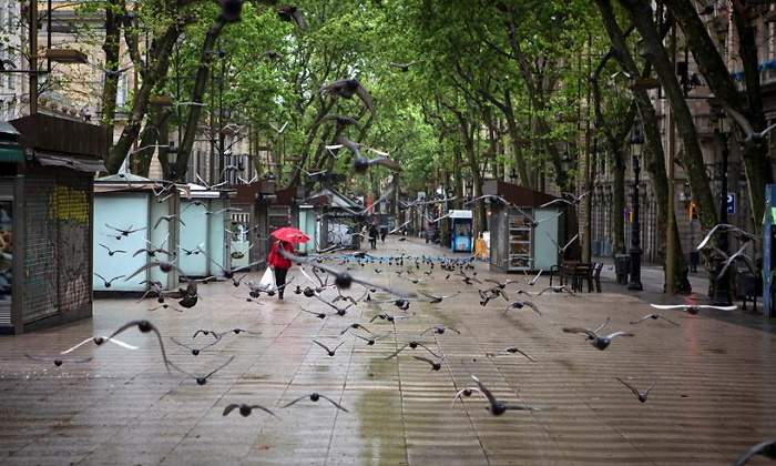 coronavirus-barcelona-pajaros-efe.jpg