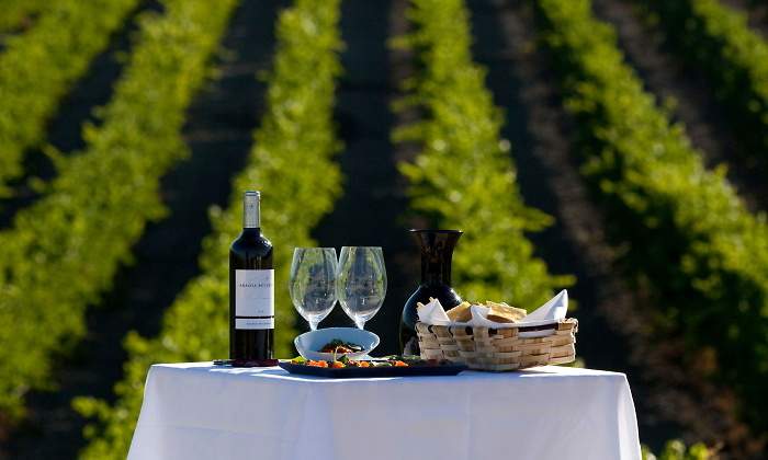 vendimia-enoturismo-abadia-retuerta-1.jpg