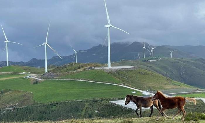 eolicos-iberdrola-caballlos.jpg