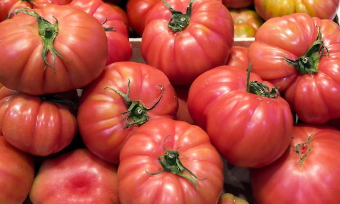propiedades-tomate.jpg