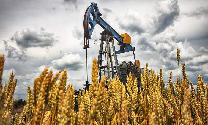 bomba-cebada-petroleo.jpg
