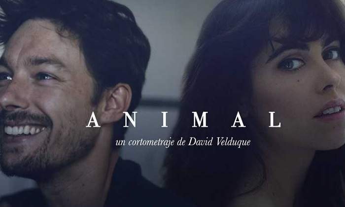 animal-cosmo.jpg