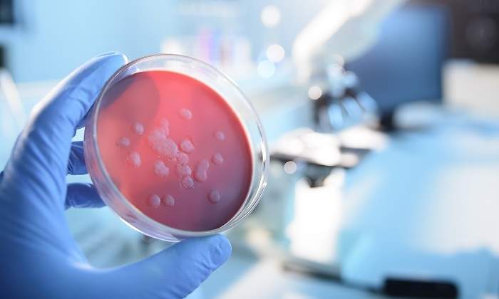 Laboratorio-iStock.jpg