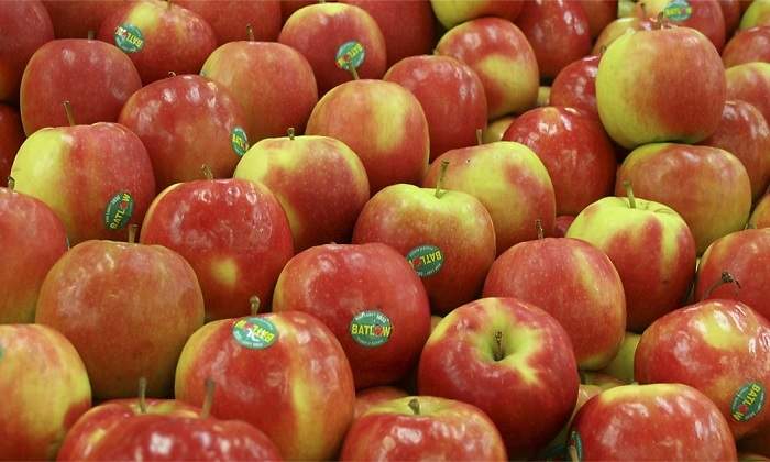 manzanas-archivo.jpg