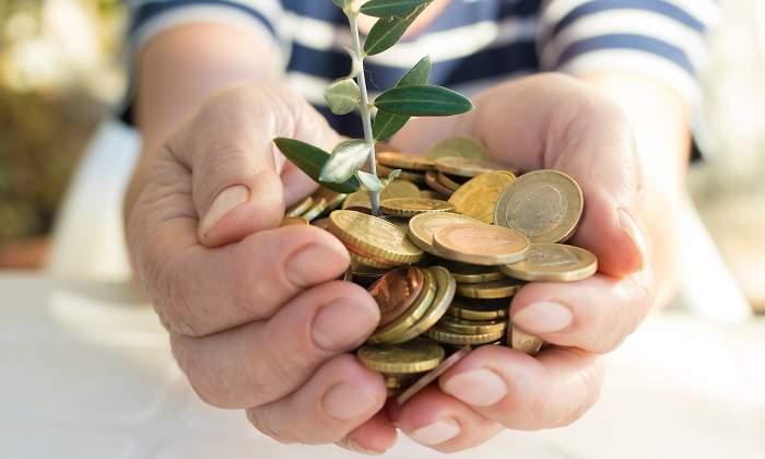 Una mano sostiene monedas con una ramita verde inversin sostenible ESG