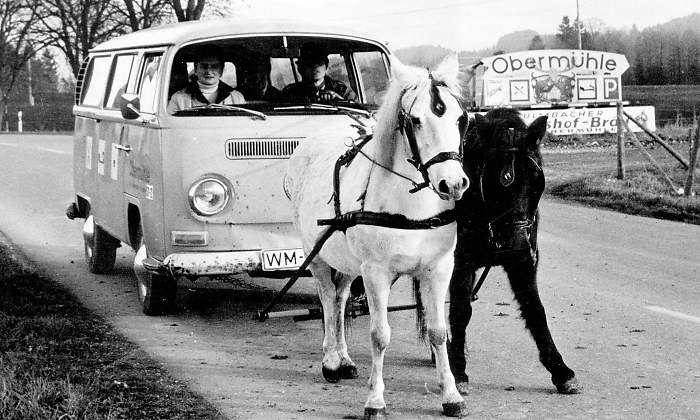 furgoneta-caballos-alamy.jpg