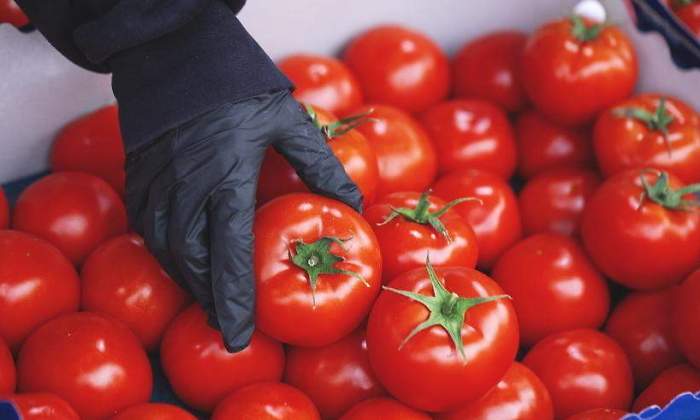 Tomates