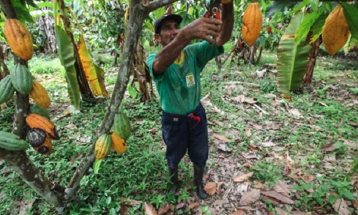 agricultor_peru_empleo770.jpg
