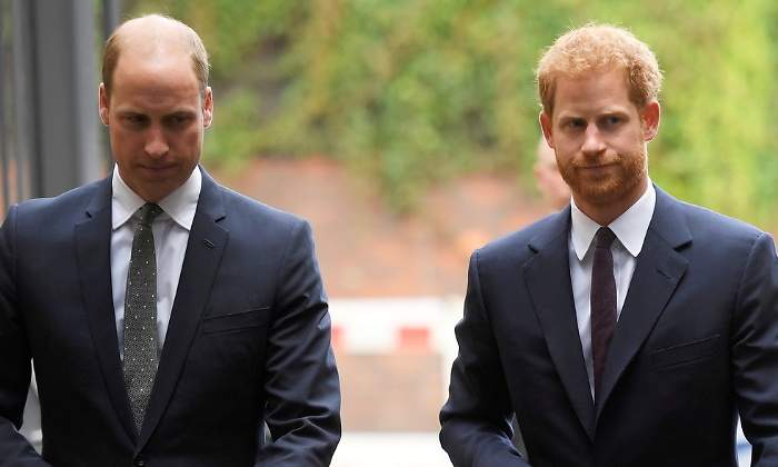 principe-harry-fria-acogida-770.jpg