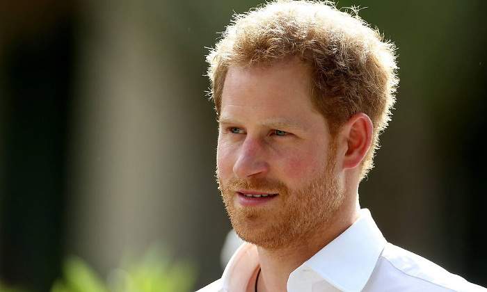harry-770.jpg