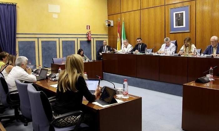comision-parlamento-andalucia-ep.jpg