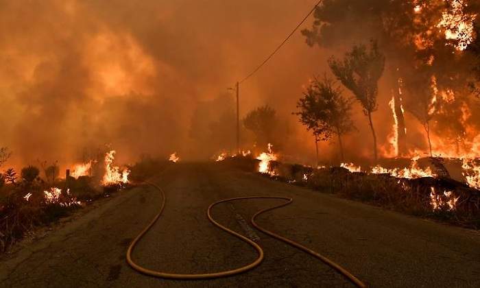 portugal6.jpg