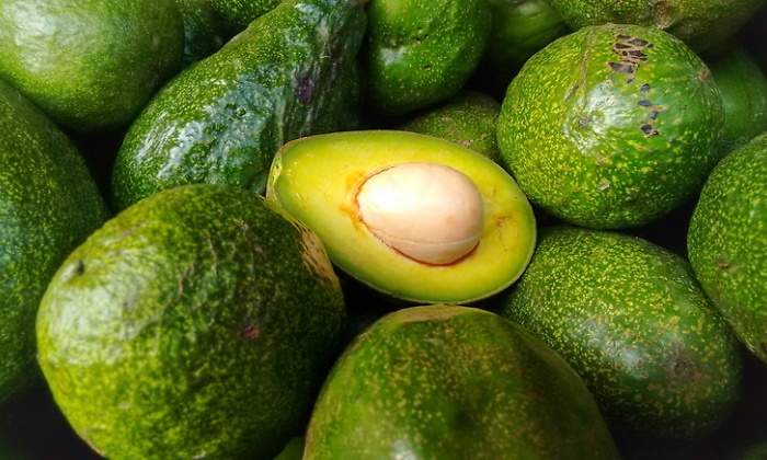 aguacates-dreamstime.jpg