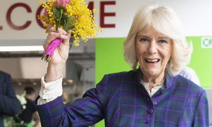 camilla-770-ok.jpg