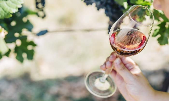 vinos-espanoles-dreamstime.jpg