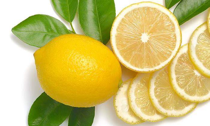 limon-hojas-770.jpg