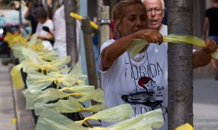 lazos-amarillos-colocan-efe.jpg