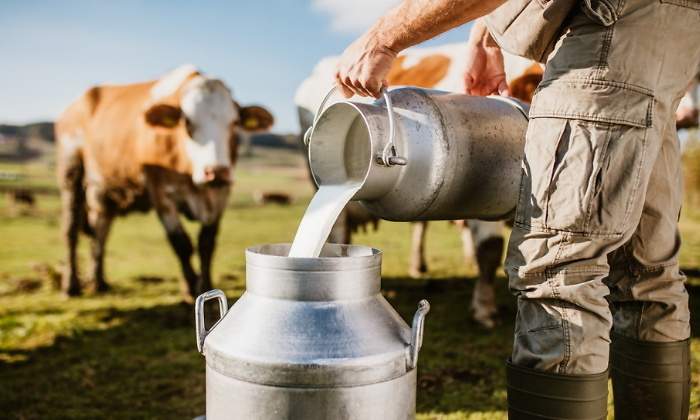 leche-vaca.jpg