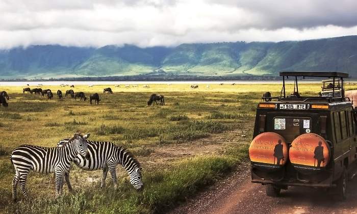 tanzania-safari-dreamstime.jpg
