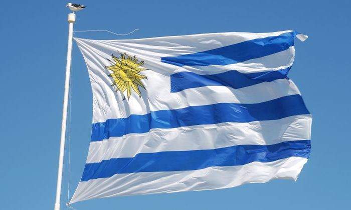 uruguay-bandera-viento-770-dreamstime.jpg