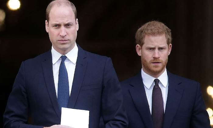 guillermo-harry-770.jpg