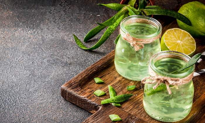aloe-vera-bebible-dreamstime.jpg