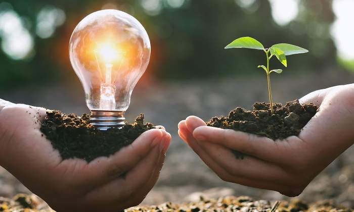 Una mano con una bombilla encendida sobre un puado de tierra y otra con una pequea planta dan idea de energa eficiente