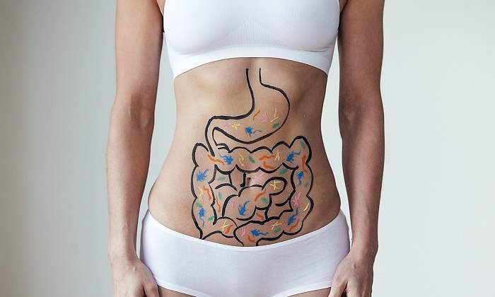 Una-persona-con-un-dibujo-del-intestino-sobre-su-barriga-iStock.jpg