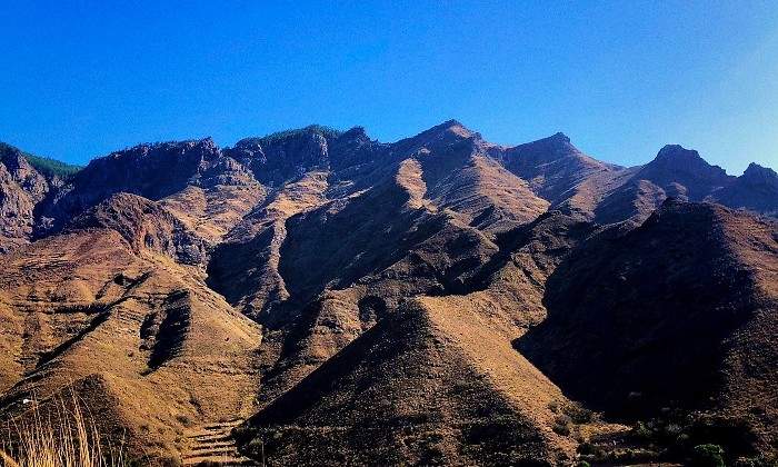 canarias-monte.jpg