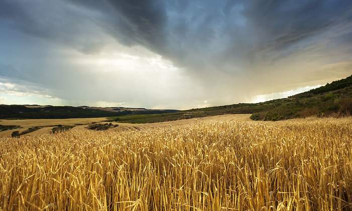 tormenta-istock-770.jpg