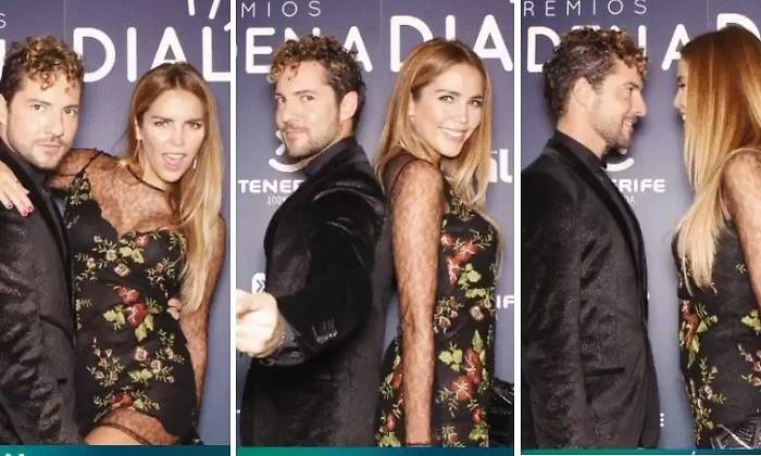 bisbal-zanetti-dial.jpg