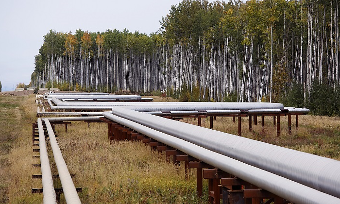 suncor-tuberias-arenas-bituminosas-reuters-770x420.png