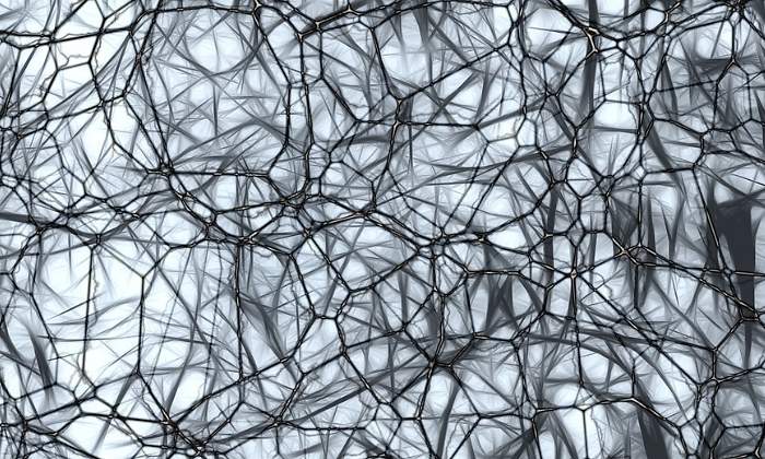 neuronas-cerebro-770x420-pixabay.jpg