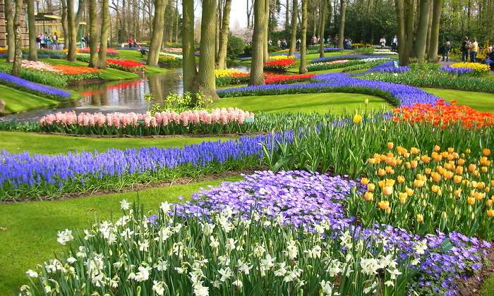 770x420-jardin-holanda-dreamstime.jpg