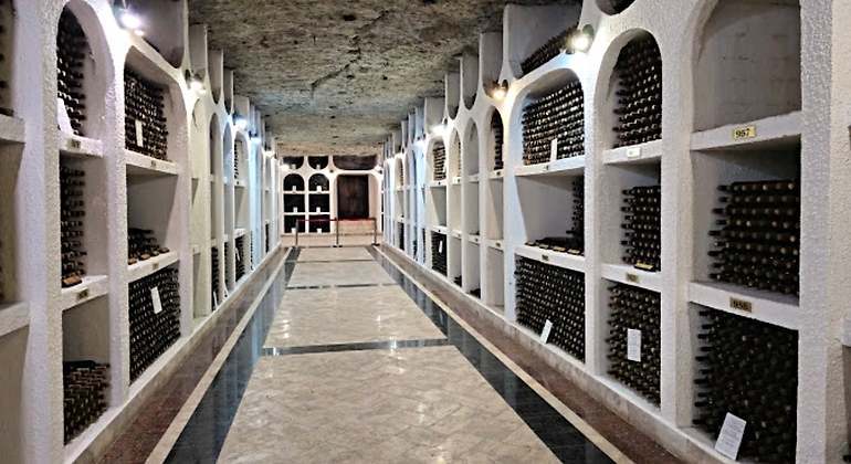 El vino como forma de vida