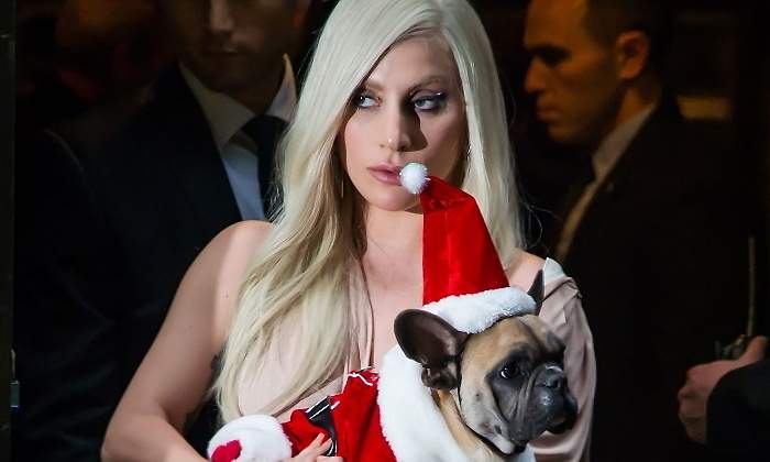lady-gaga-perros-770.jpg