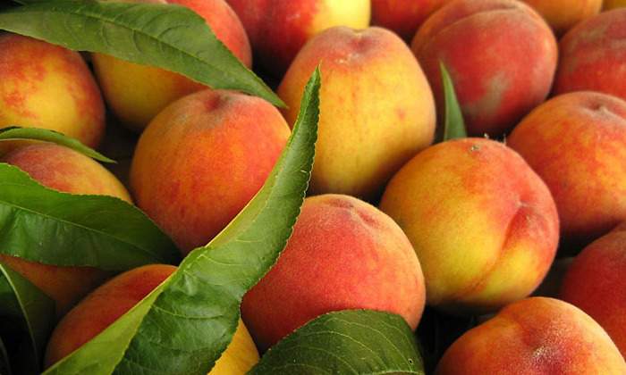 frutas-hueso