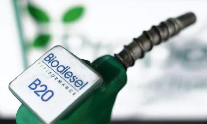 Biodiesel-Reuters.jpg
