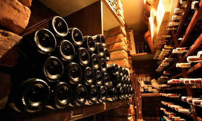 vino-bodega-dreams.jpg