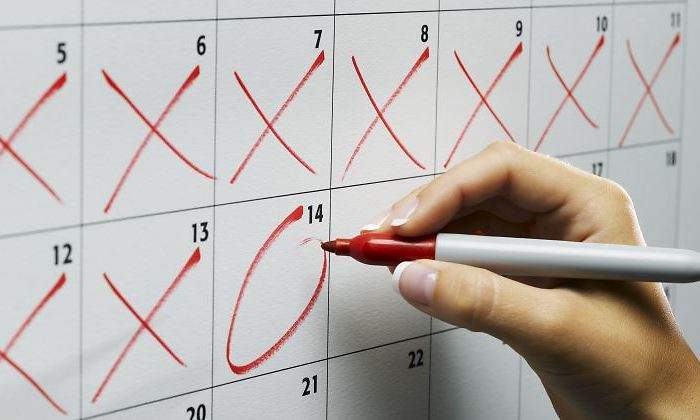 calendario-marcas-770.jpg