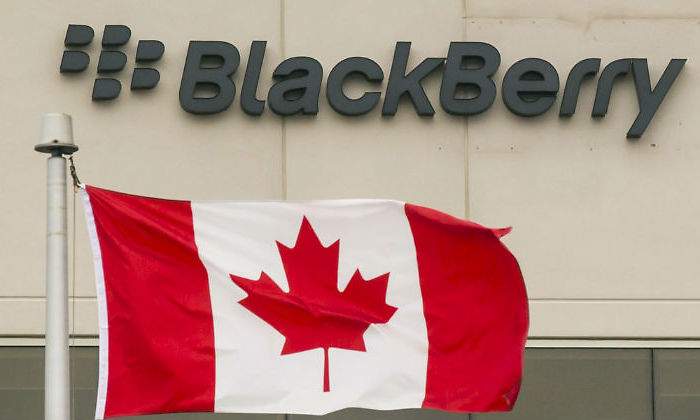 blackberry-2.jpg