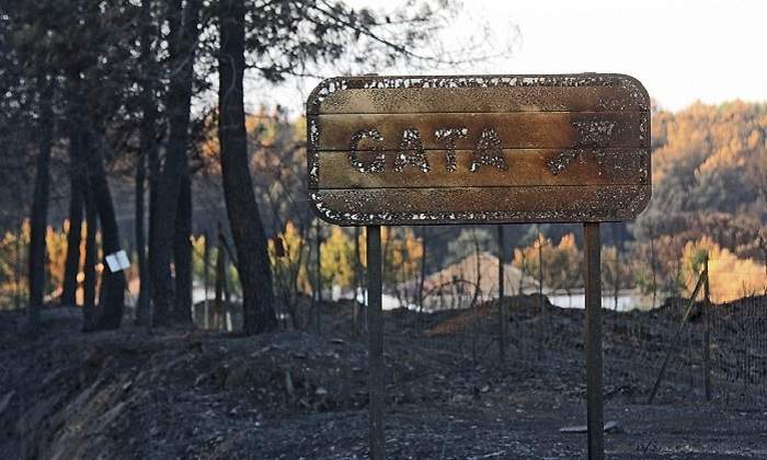 770-x-420-Area-calcinada-por-un-incendio-Forestal-EFE.jpg
