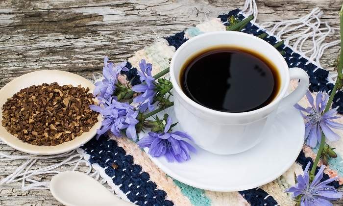 achicoria-cafe-infusiona-dreamstime.jpg