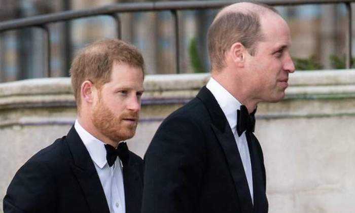 guillermo-harry-770.jpg