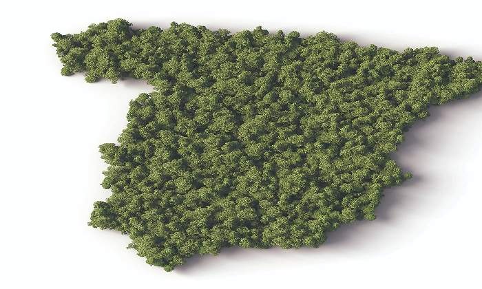 espana-verde.jpg