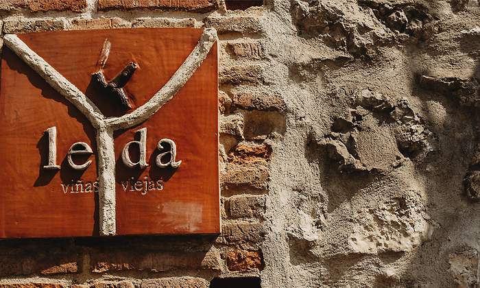 770x420-vino-guarda-leda.jpg